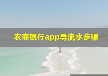 农商银行app导流水步骤