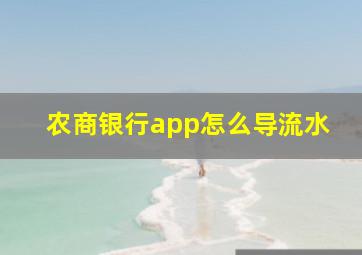 农商银行app怎么导流水