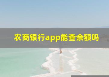 农商银行app能查余额吗