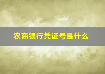 农商银行凭证号是什么