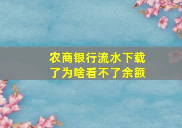 农商银行流水下载了为啥看不了余额