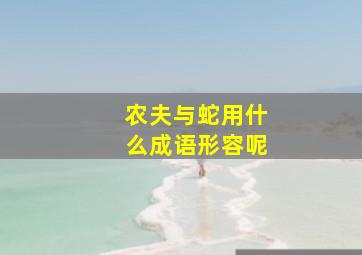 农夫与蛇用什么成语形容呢