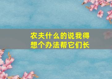 农夫什么的说我得想个办法帮它们长