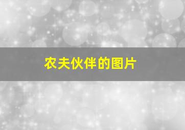 农夫伙伴的图片