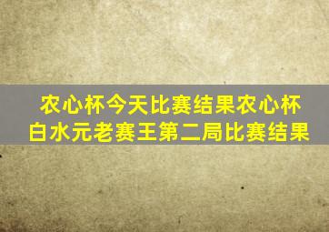 农心杯今天比赛结果农心杯白水元老赛王第二局比赛结果