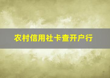 农村信用社卡查开户行