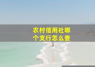 农村信用社哪个支行怎么查