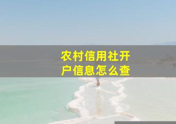 农村信用社开户信息怎么查