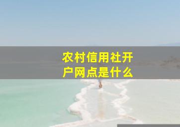 农村信用社开户网点是什么