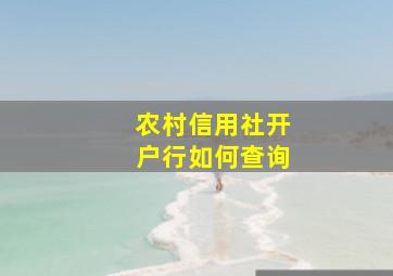 农村信用社开户行如何查询