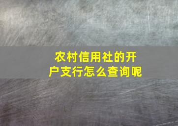 农村信用社的开户支行怎么查询呢