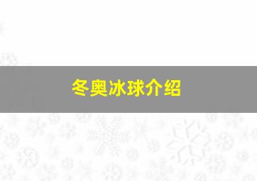 冬奥冰球介绍