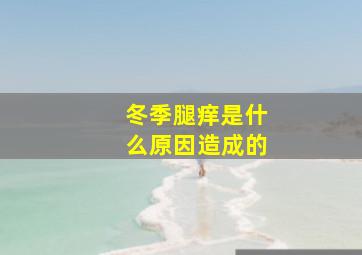 冬季腿痒是什么原因造成的