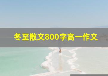 冬至散文800字高一作文