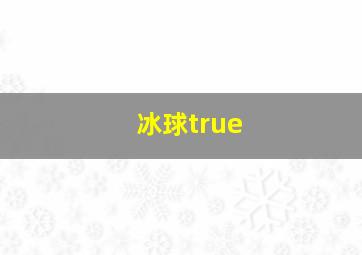 冰球true