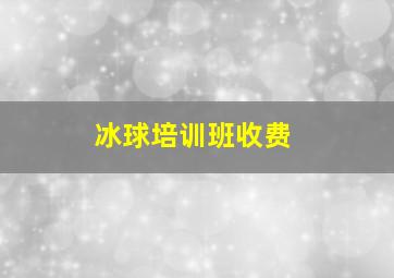 冰球培训班收费