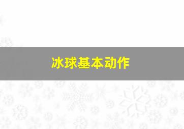 冰球基本动作