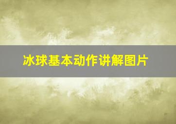 冰球基本动作讲解图片