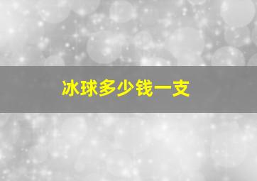 冰球多少钱一支