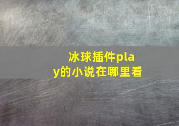 冰球插件play的小说在哪里看