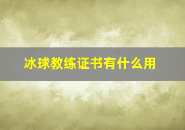 冰球教练证书有什么用