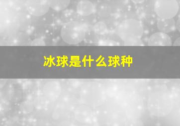 冰球是什么球种