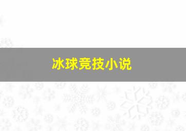 冰球竞技小说