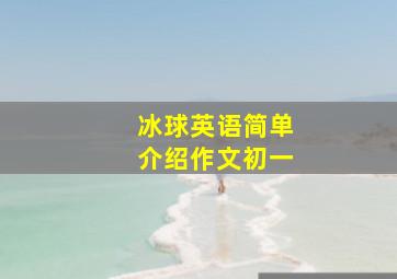 冰球英语简单介绍作文初一