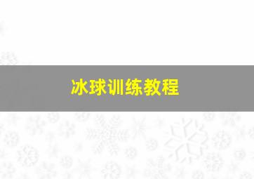 冰球训练教程