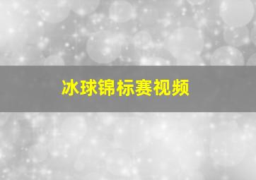 冰球锦标赛视频