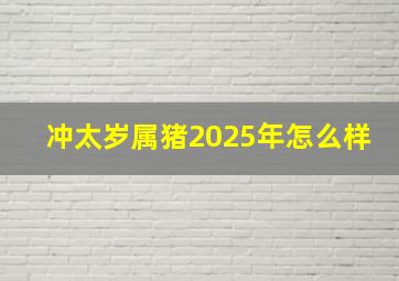 冲太岁属猪2025年怎么样