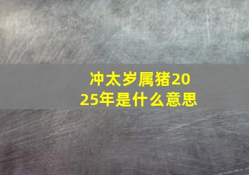 冲太岁属猪2025年是什么意思