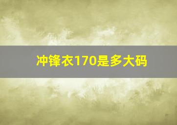 冲锋衣170是多大码