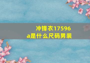 冲锋衣17596a是什么尺码男装