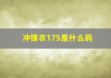 冲锋衣175是什么码