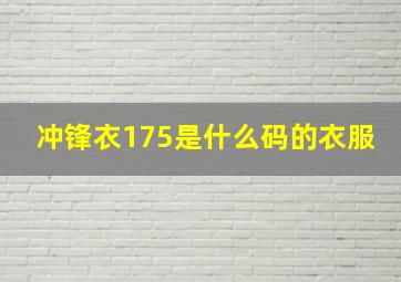 冲锋衣175是什么码的衣服