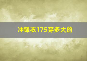 冲锋衣175穿多大的