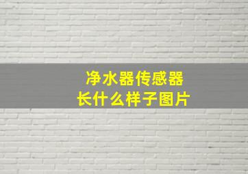 净水器传感器长什么样子图片