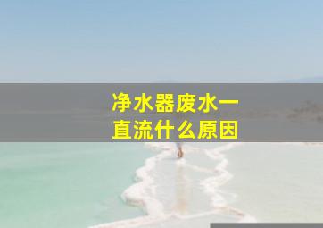 净水器废水一直流什么原因