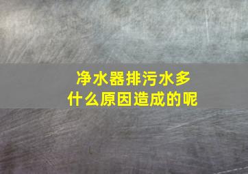 净水器排污水多什么原因造成的呢