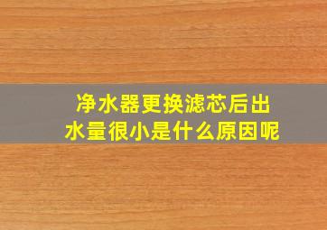 净水器更换滤芯后出水量很小是什么原因呢