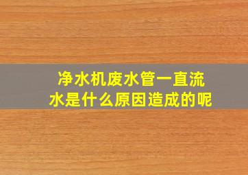 净水机废水管一直流水是什么原因造成的呢