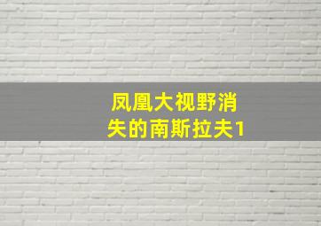 凤凰大视野消失的南斯拉夫1