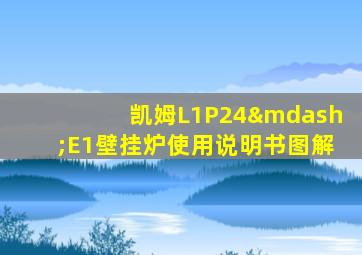 凯姆L1P24—E1壁挂炉使用说明书图解