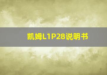 凯姆L1P28说明书