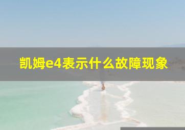 凯姆e4表示什么故障现象