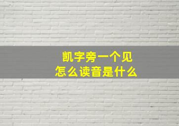 凯字旁一个见怎么读音是什么