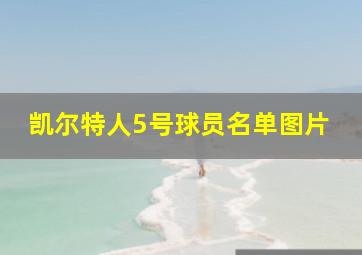 凯尔特人5号球员名单图片