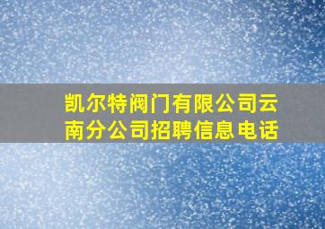 凯尔特阀门有限公司云南分公司招聘信息电话