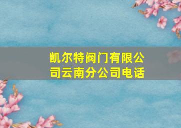 凯尔特阀门有限公司云南分公司电话